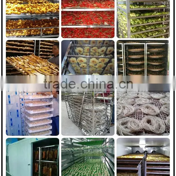 Industrial Food Dehydrator Machine / Hot Air Dryer For Fruit And Vegetable,Meat,Fish photo-3