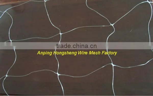 China Made Plastic Plant Climbing Nettings