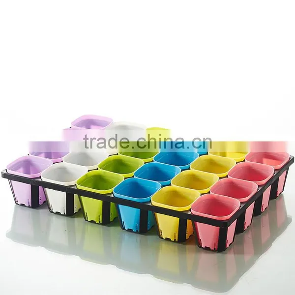 Plastic 24 Divided Plastic Material Hydroponic Seedling Trays photo-3