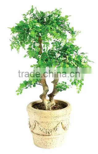 SJ2001022 Small Potted Foliage Banyan Tree Landscaping Decoraative Garden Tree photo-4