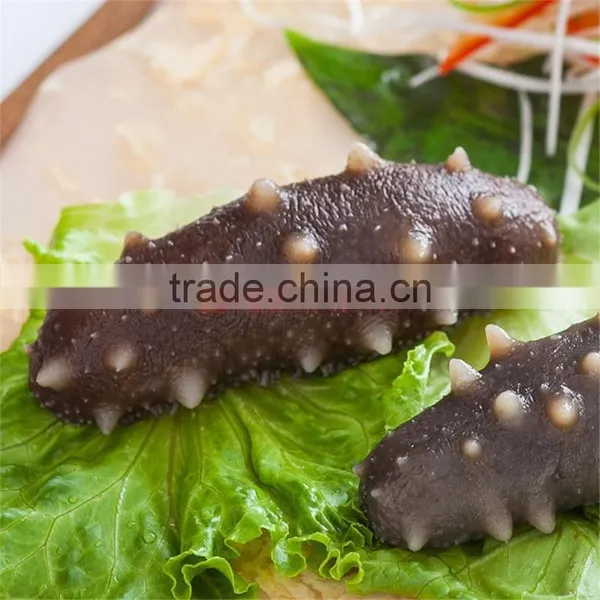 Sugar-Free Sea Cucumber Type photo-2