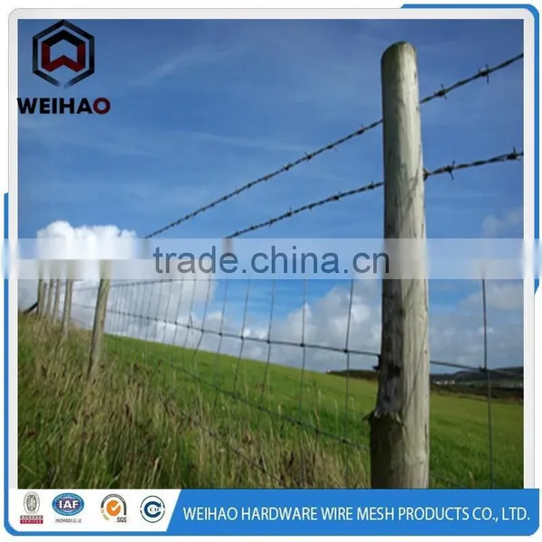 Professional Maker Best Competitive Price Galvanized Barbed Wire photo-2