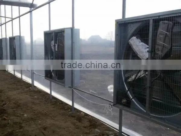 Hot Sale Greenhouse Equipment Air Exhaust Fan for Greenhouse Ventilation and Cooling Function photo-2