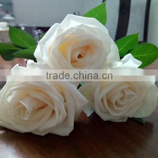 Supply Fresh Cut Flower Hot Sale 20 Stems/Bundle White Rose Wholesale From Yunnan,China photo-2