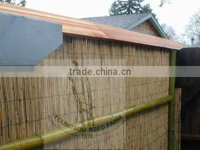 Reed Fence photo-3