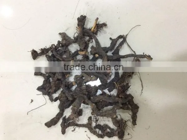 Cyperus Rotundus photo-2