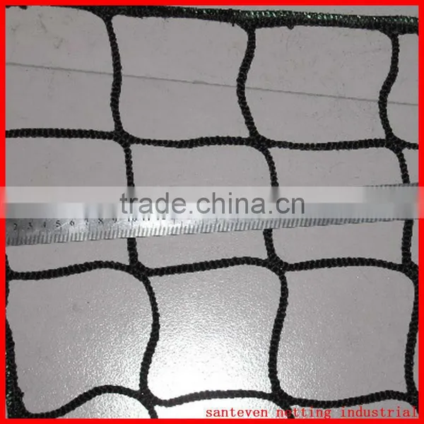 Safety Net photo-2