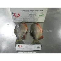 VIETNAM FROZEN PANGASIUS FILLET (other Names : Basa, Dory, Sutchi, Sushi, Swai, Catfish, White Fish, River Cobbler) , WELL TRIMMED, RED MEAT OFF, FAT OFF, BELLY OFF – Website: Seafood.sobico