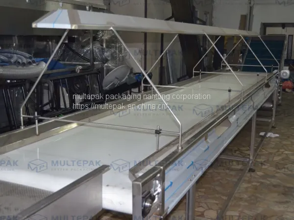 Dates Processing Line Dates Washing Drying Heating Vacuum Packaging Machine Multepak photo-3