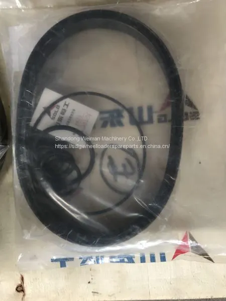 High Quality LG956L LG958L Wheel Loader Spare Parts 4120006349001 SEALING RING KIT photo-2