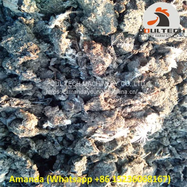 Poultry Farming Automatic Chicken Manure Drying Machine & Automatic Chicken Fowl Dung Drying Machine photo-4