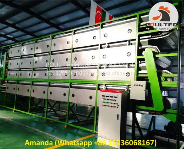 Chicken Manure Drying Machine for Poultry Farming photo-3