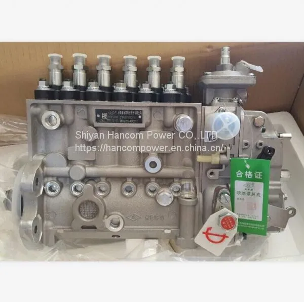 Machinery Engine Fuel Injection Pump 3973900 for Cummins 6CT8.3 Engine Parts