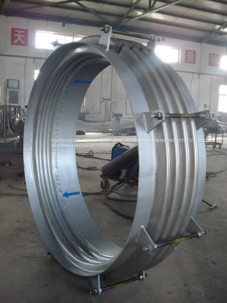 Compensator With Reverse Structure photo-2