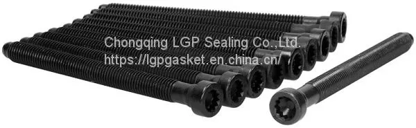 Cylinder Head Bolt Kits for VW OEM WHT002131 Ajusa 81043900