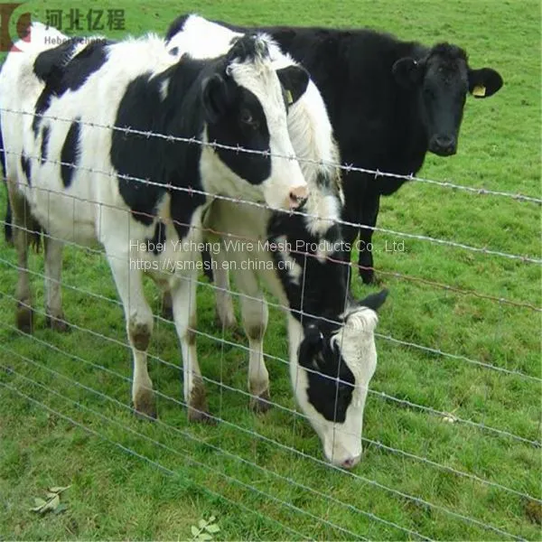 Hot-dipped Galvanized Field Fence, Cattle Field Fence Post, Galvanized Cattle Fence photo-2