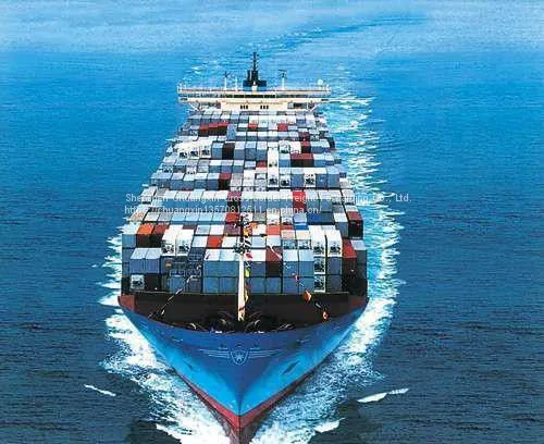 China to the U.S. Shipping Line Logistics photo-5