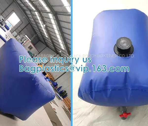 Liquid Pac Palm Oil Storage Fibc Jumbo Bags Flexibag Container 20ft 24000L Bulk Vinger Bladder Bag Fuel Oil Transport photo-2