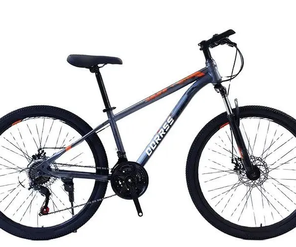 Cheap Mountain Bike 26 Inch Adult Variable Speed Bicycle Dual Disc Brake 21 Speed Mountain Bike in Stock photo-4