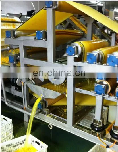 Industrial Belt Orange Juicer Extractor Fruit Sorting Machine photo-4