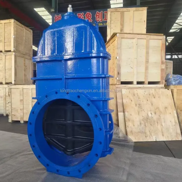Flange Electric Gate Valve GGG50 GGG40 GG25 Ductile Cast Iron DIN PN16 Flange Motorized Actuator Gate Valve photo-4