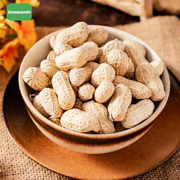 Premium Clean Intact Shells Whole Groundnuts in Shell 13/15 for Export Trading