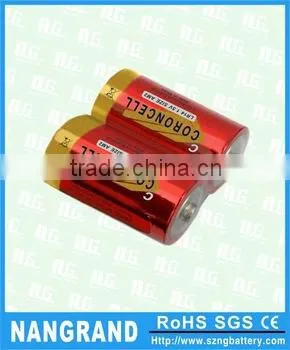 Low MOQ C Size Battery From China Battery Manufacturer photo-2