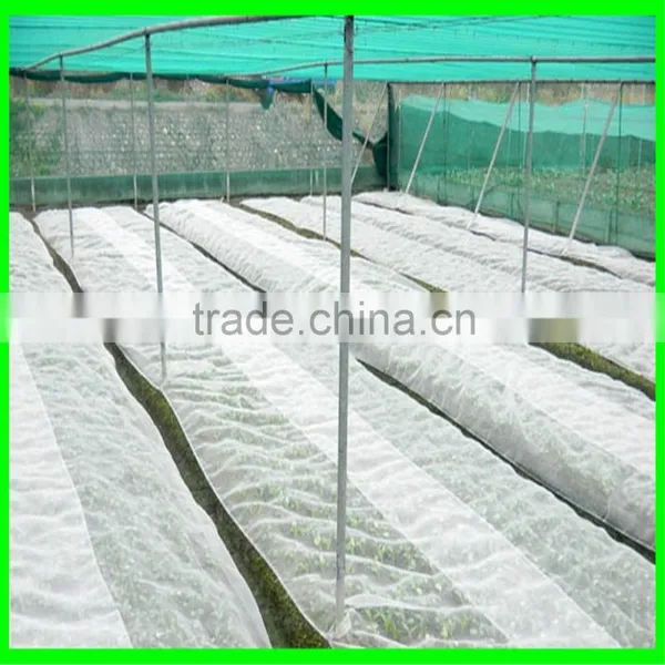 Leaf Minder Net , Anti Insect Net photo-4
