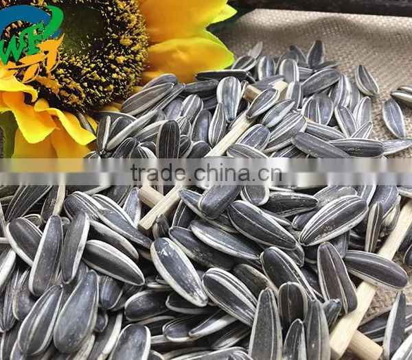 Raw Sunflower Seeds 0409 Stye photo-2