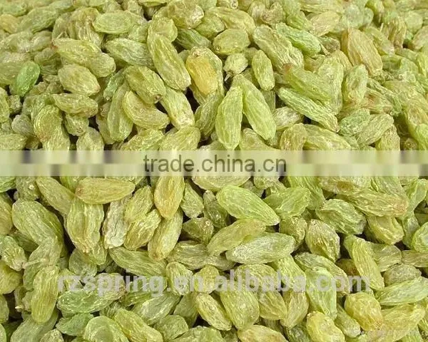 Chinese Good Quality Green Raisins photo-6