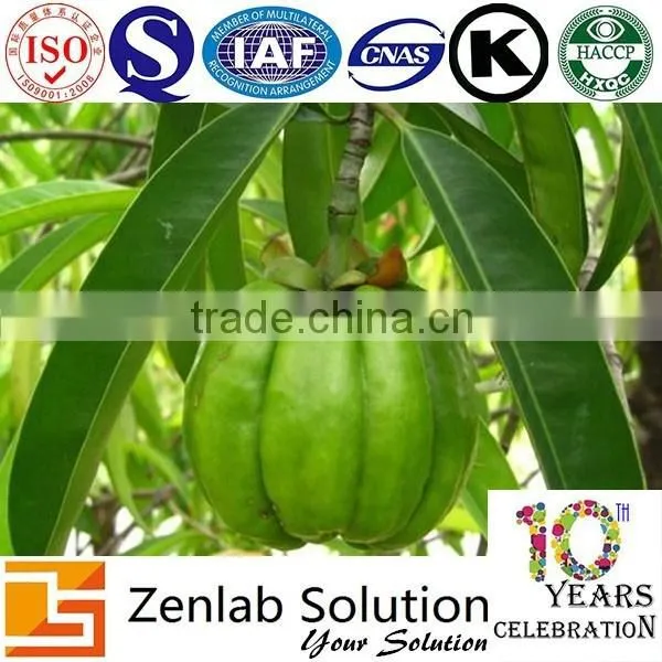 Organic Garcinia Cambogia Extract Powder 60% Garcinia Cambogia Extract photo-4