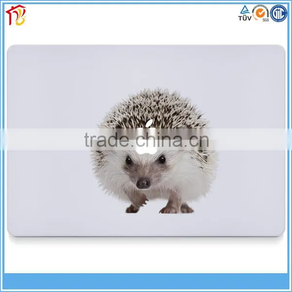 High Quality Best Price Skin Decal Customized Deisgn Accepted Creative Beauty Skin Sticker Laptop photo-4