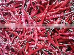 Wholesale 100% Pure Nature Spices Bulk Red Chilli. photo-2