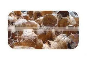 High Quality Cheap Matured Coconut Shell