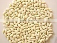 Blanched Peanut