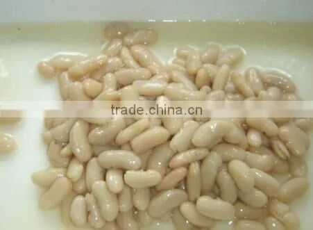 Good Quality Canned White Kidney Beans photo-3