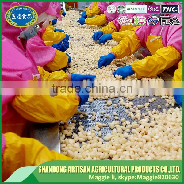 Professional Factory Direct Sale IQF Frozen Diced Garlic With Lowest Price photo-6