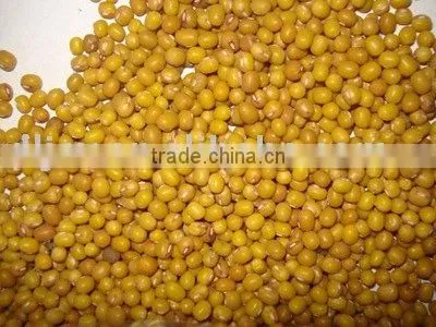 Jsx Excellent High Quality Cheap Price Yellow Mung Bean
