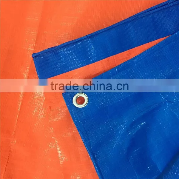 Coated Popular Tarpaulin photo-5