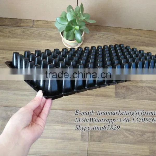 Custom Blister Process Black Shining 105 Cell PS Material Plastic Plant Seedling Nursery Germination Tray photo-3