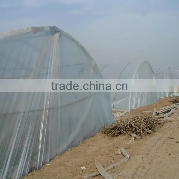 Anti-drip Long Life Transparent Co Extruded PE Cover Film PE Mulch Film for Watermelon Greenhouse photo-2