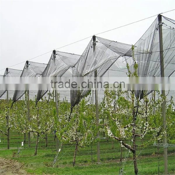 Quolity Cheapest HDPE Knitted White Apple Tree Anti Hail Net photo-2