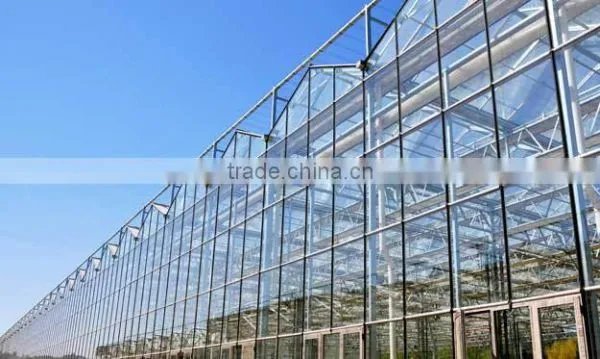 Glass Greenhouse-1