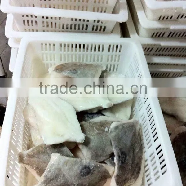 John Dory Fillet ( Zeus Faber ) 100-150 150-200 200-300 photo-2