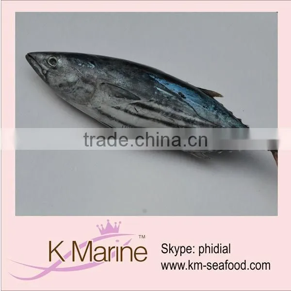Live Seafood Trading Company Fresh Tuna