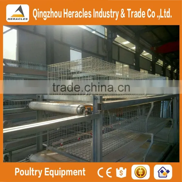 China Trade Assurance Chicken Bird Cage for Sale photo-2
