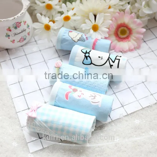 2017 New Sexy Women Underwear Comfort Fancy Women Panties Girls Panties Briefs photo-6