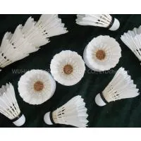 Badminton Shuttlecock Suppliers
