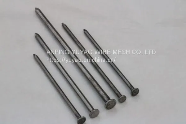 Cheap Wire Nails Price China Common Nail Iron Material Black vinyl coated steel galvanized Nails