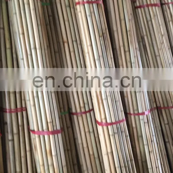 Sell off Competitive Price Premium Quality New Bamboo Various Size for Making Furniture From Distributor in Viet Nam photo-4